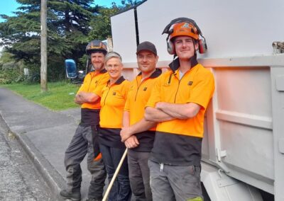 The team of arborist experts with their orange uniforms