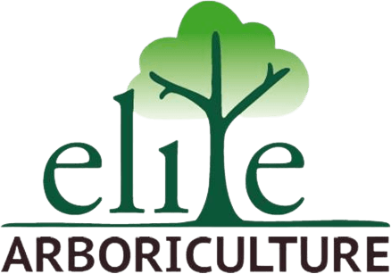 Elite Arboriculture
