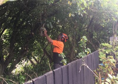 Professional Arborist cutting a tree in the backyard