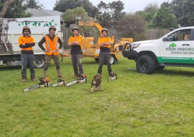 An Image of Elite Arboriculture professional team their equipment and their dog
