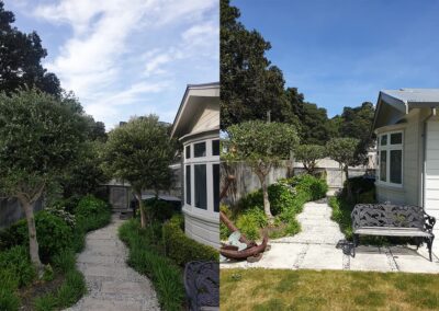 Before and after image of Elite Arboriculture's work on a backyard