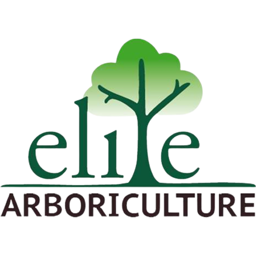 eliteIcon